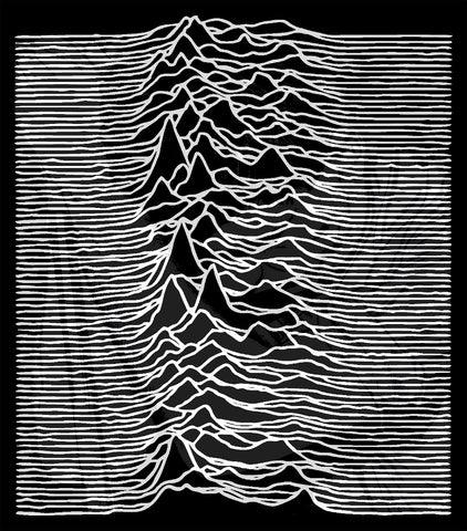 Joy Division Unknown Pleasures/Ian Curtis Flag