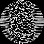 Joy Division Unknown Pleasures Slipmat