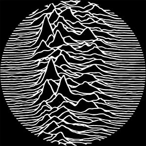Joy Division Unknown Pleasures Slipmat